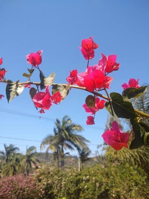 Chale Aconchegante Em Estancia Climatica Santo Antônio do Leite Exteriér fotografie